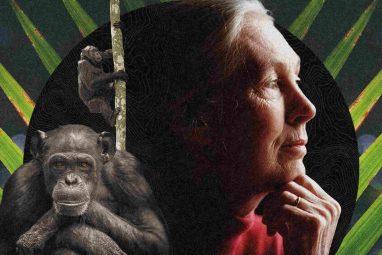 What Jane Goodall’s Career Teaches Us About Allyship and Sponsorship