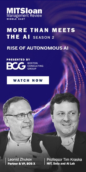 More than Meet the AI 300x600